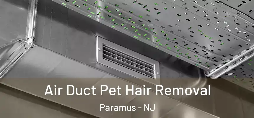  Air Duct Pet Hair Removal Paramus - NJ