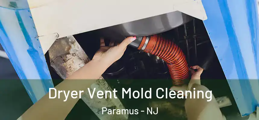  Dryer Vent Mold Cleaning Paramus - NJ