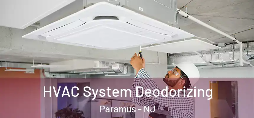  HVAC System Deodorizing Paramus - NJ