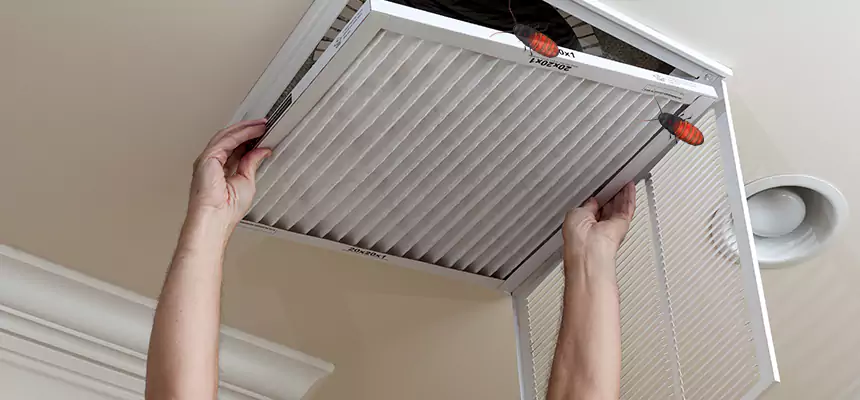 Preventive Cockroach-Proofing for Ducts in Paramus