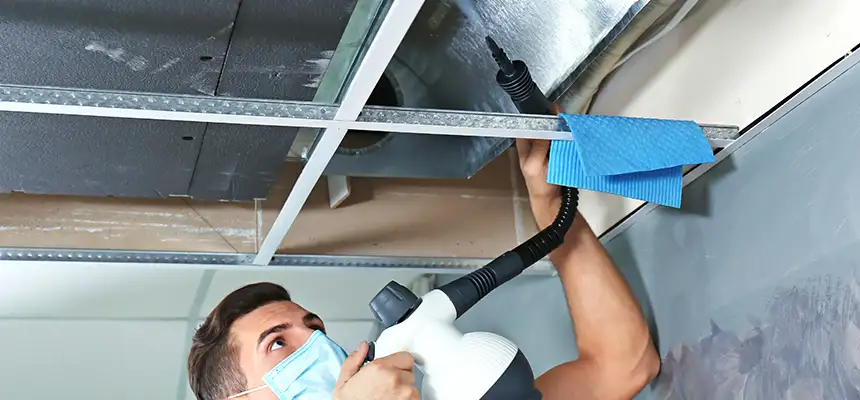 Our Air Duct Rodent Removal Services in Paramus, NJ