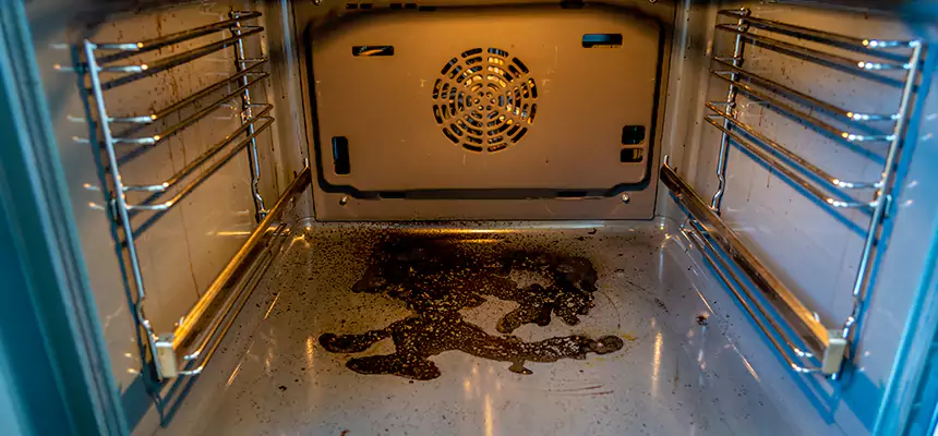 Our Dryer Vent Mold Cleaning Services in Paramus, NJ