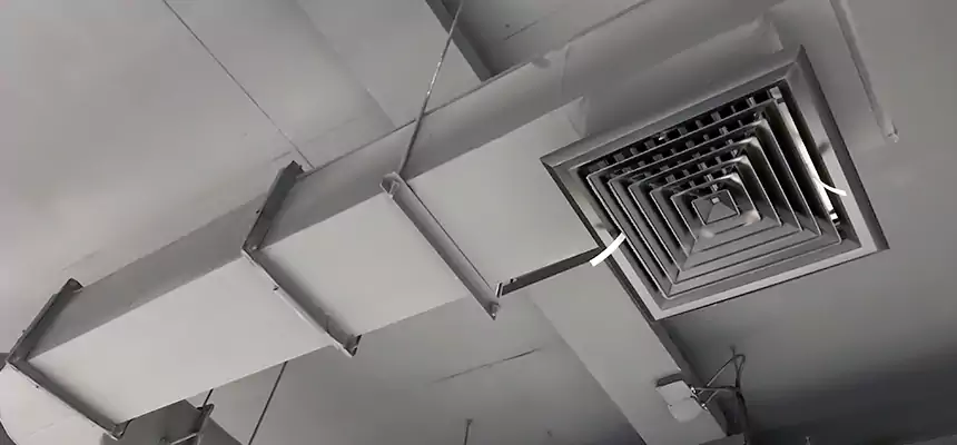 Our Pest Removal From Ducts Services in Paramus, NJ