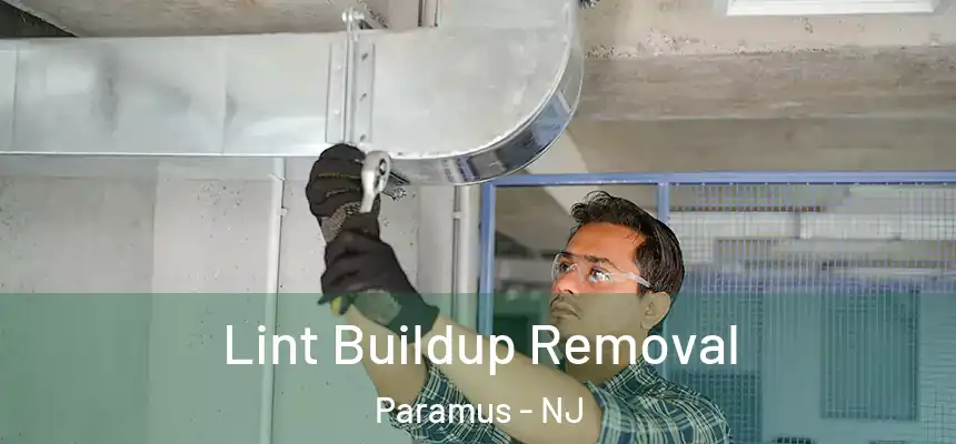  Lint Buildup Removal Paramus - NJ