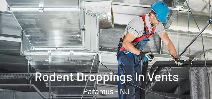  Rodent Droppings In Vents Paramus - NJ