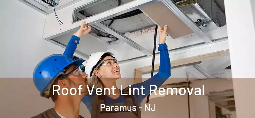  Roof Vent Lint Removal Paramus - NJ