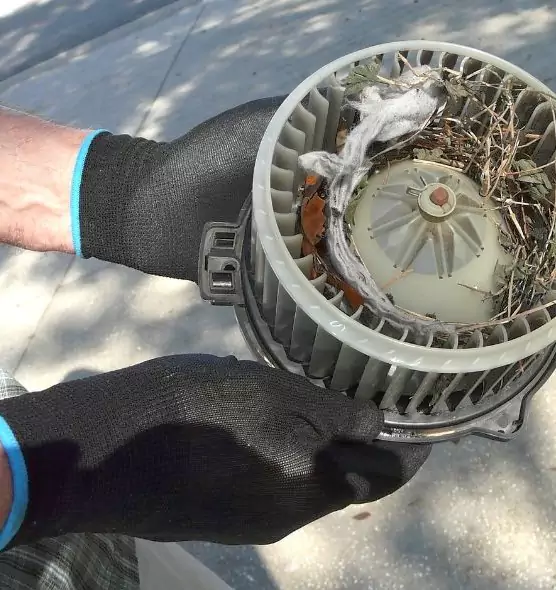 About Air Duct Rat Removal in Paramus, NJ