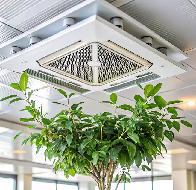 Why Homeowners & Businesses Trust Us in Paramus, NJ?